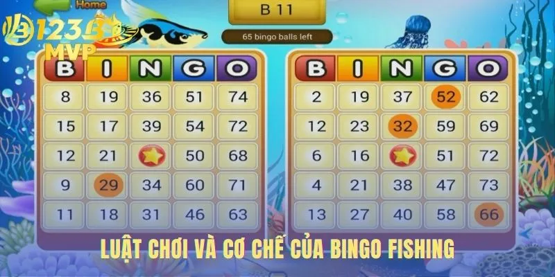 Bingo fishing sở hữu cơ chế gameplay hai lớp độc đáo